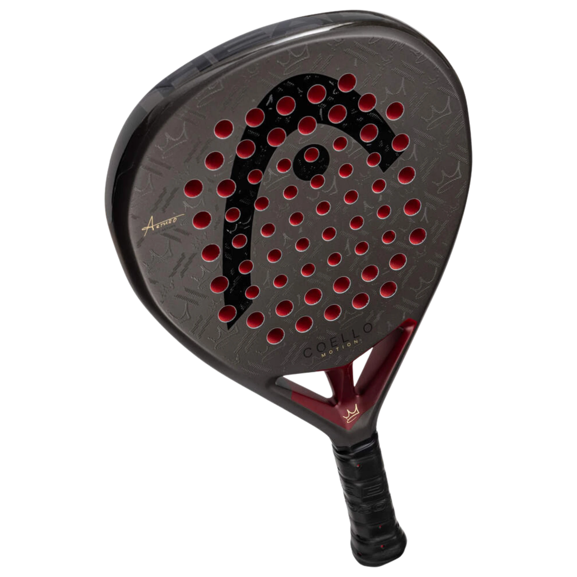 Head Coello Motion 2026