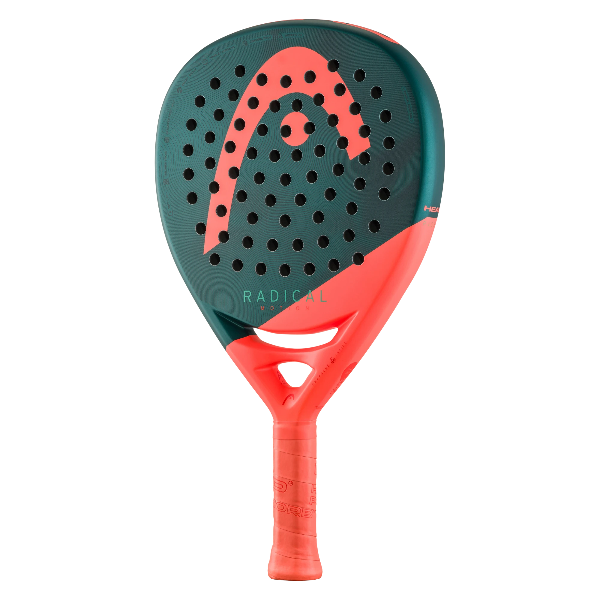 Head Radical Motion 2026