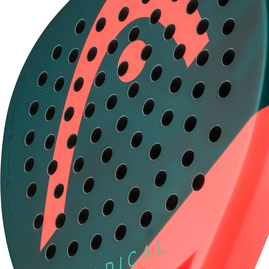 Head Radical Motion 2026