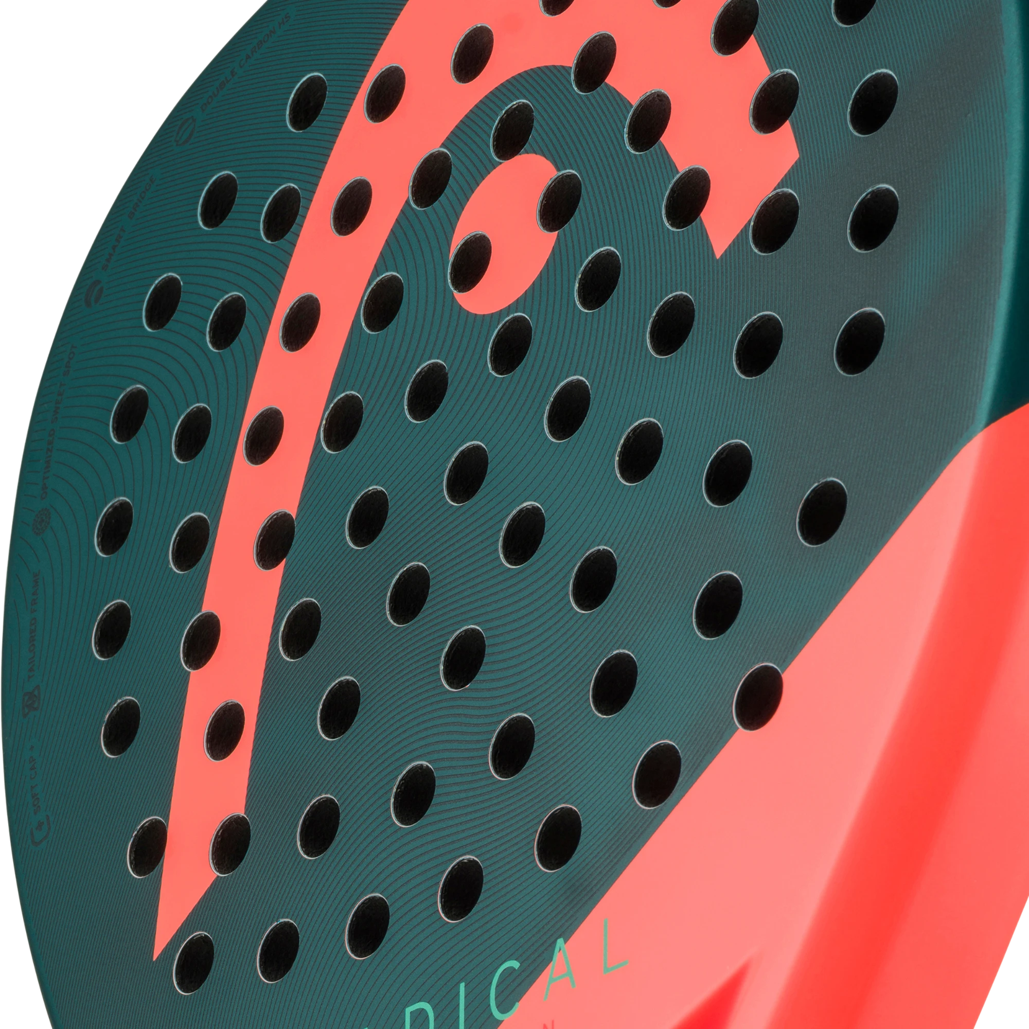 Head Radical Motion 2026