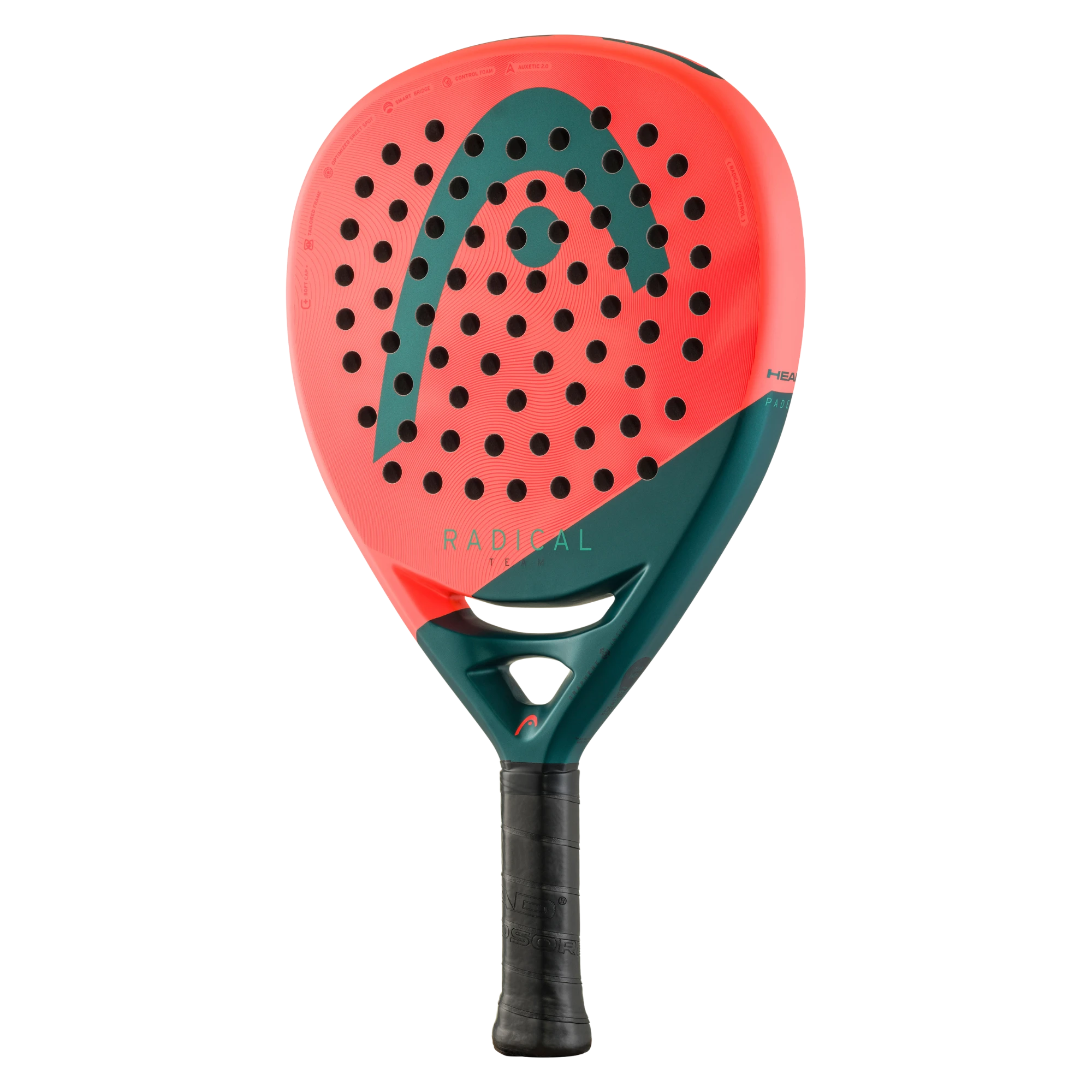 Head Radical Team 2026