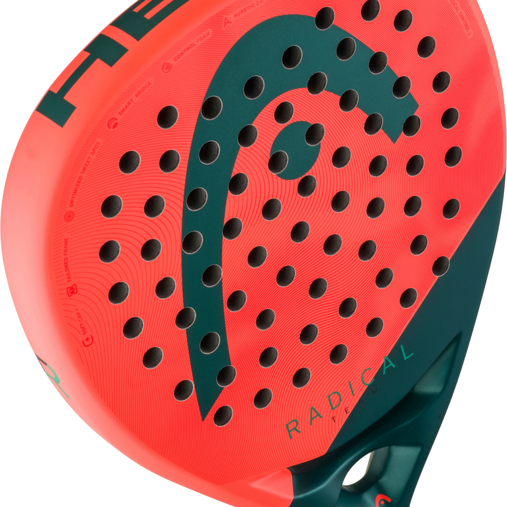 Head Radical Team 2026