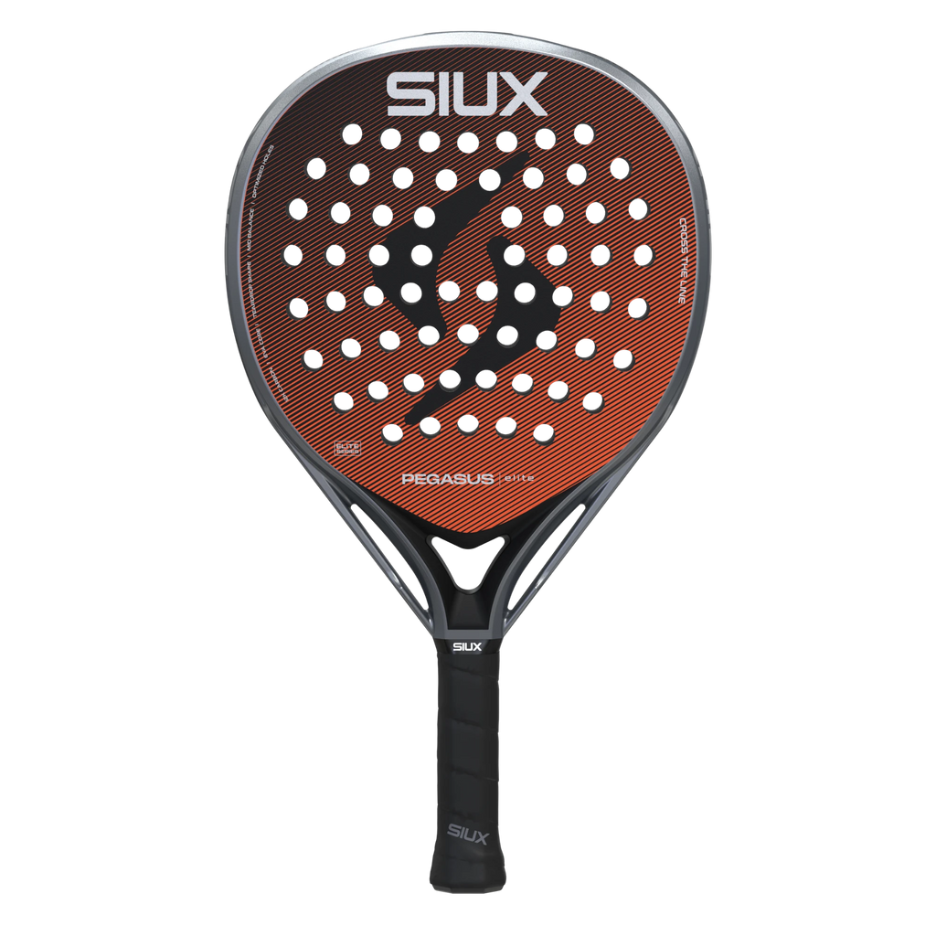 Siux Pegasus Elite 4 2026