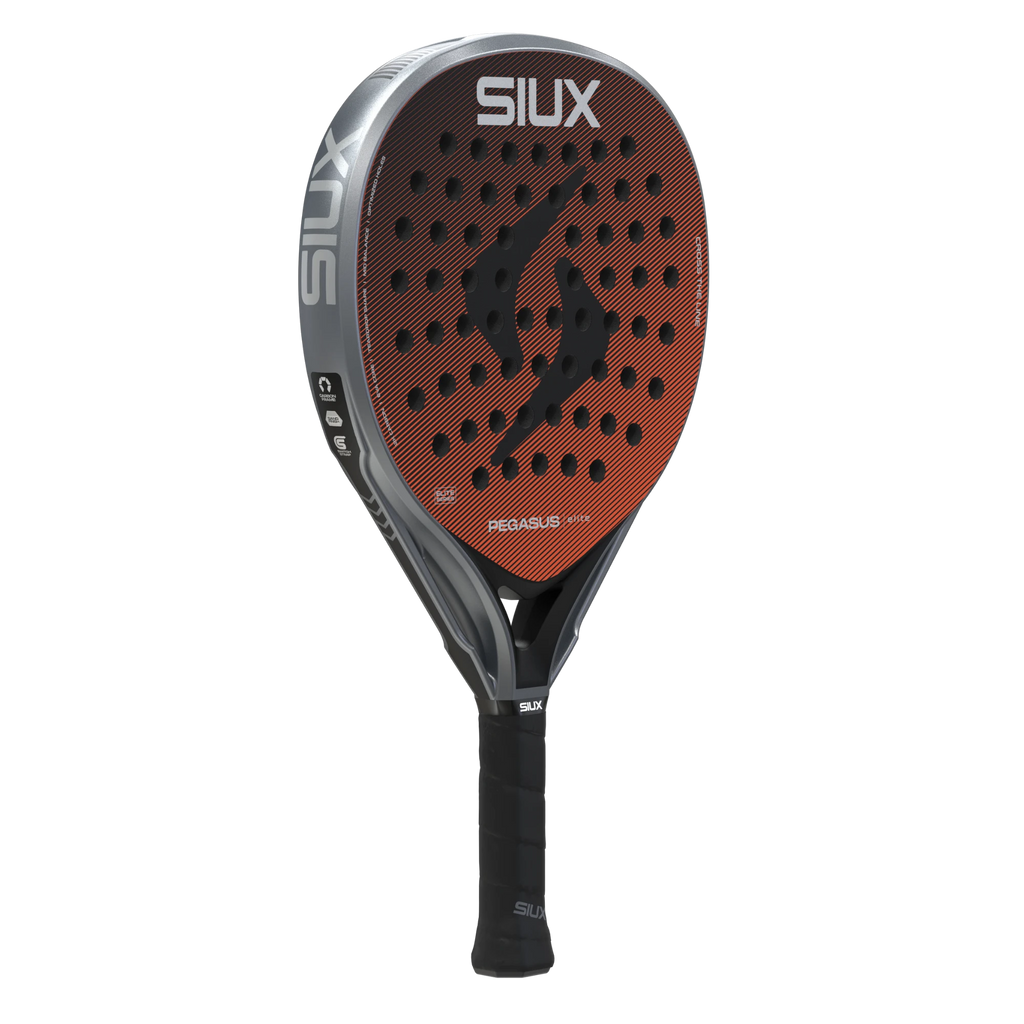 Siux Pegasus Elite 4 2026