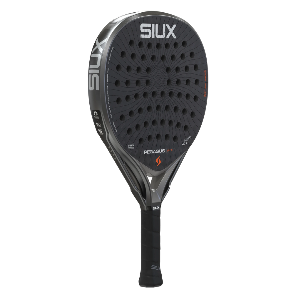 Siux Pegasus Pro 2026 Storm Grey