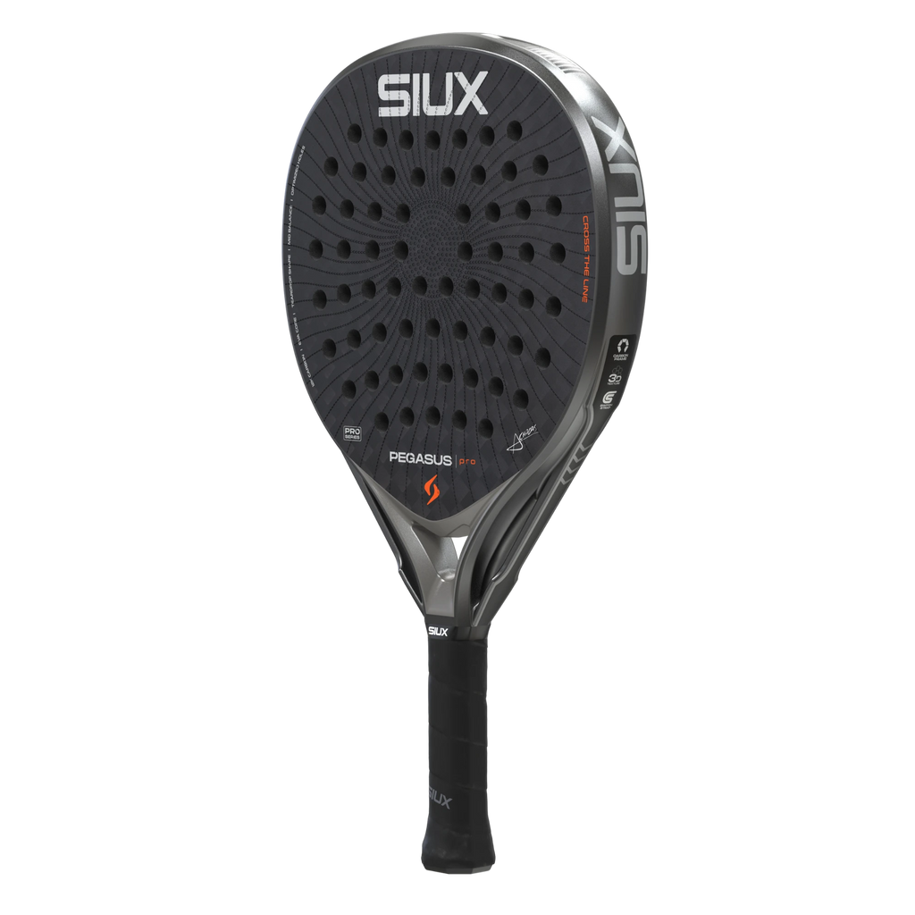 Siux Pegasus Pro 2026 Storm Grey