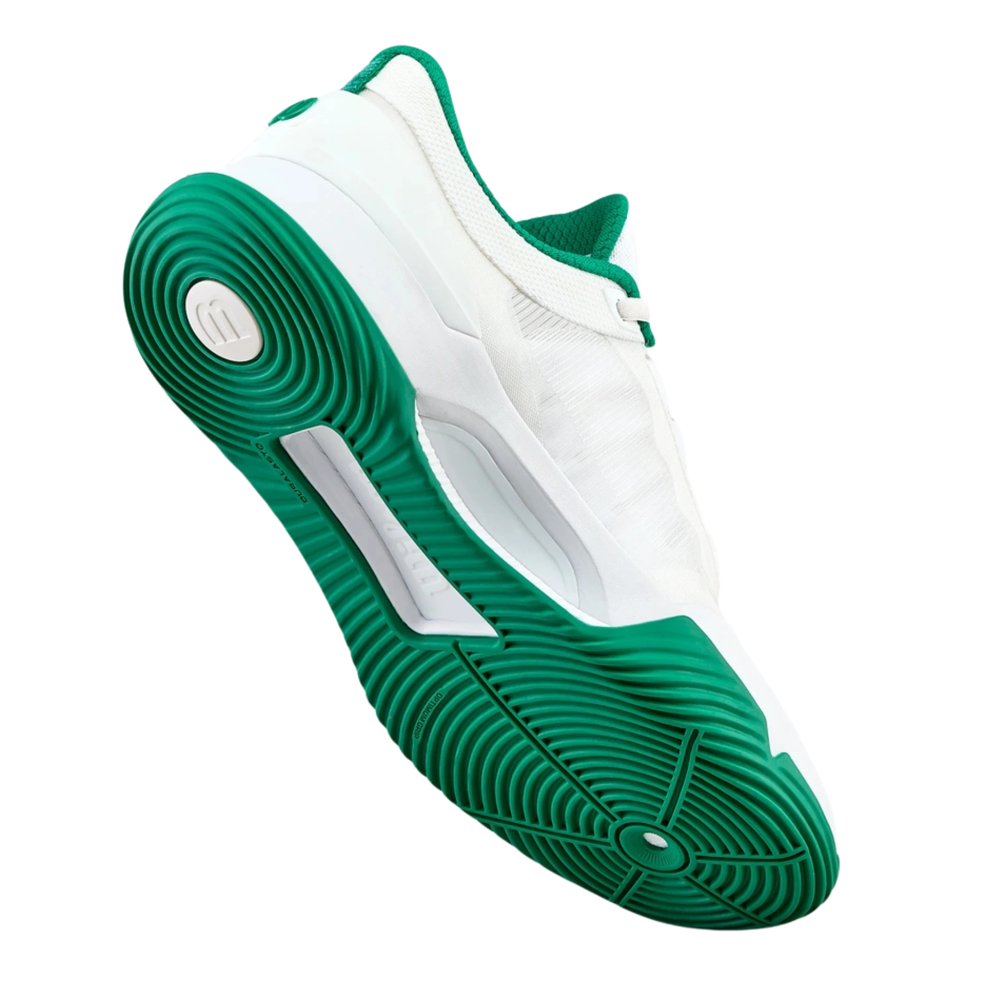 Zapatillas de pádel Wilson Intrigue Tour